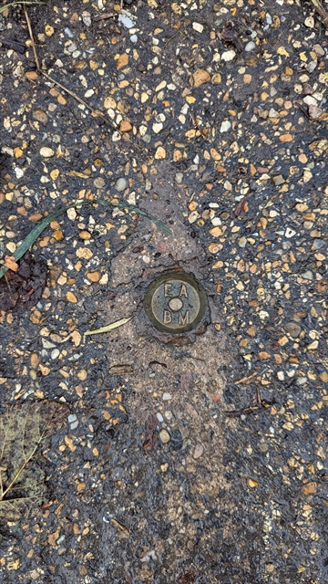 Environment Agency on Bridge